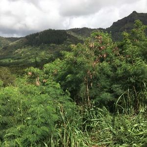 Meet your Posher, Stephen